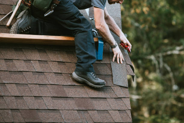 Best Roof Maintenance Services  in High Springs, FL